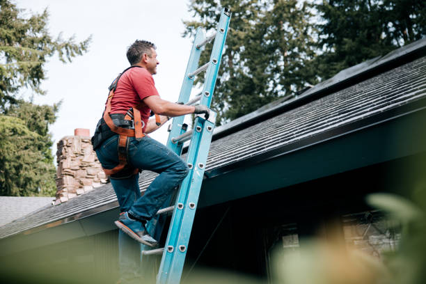 Best Roof Maintenance and Cleaning  in Somerton, AZ